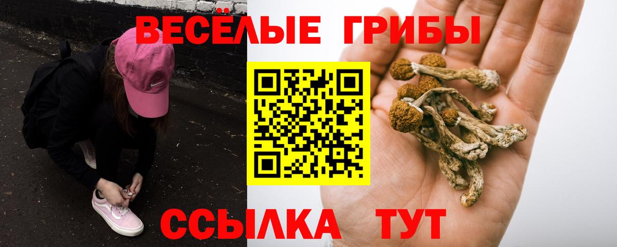 Галлюциногенные грибы Magic Shrooms  Галлюциногенные грибы GOLDEN TEACHER  Касимов  Вход с VPN 