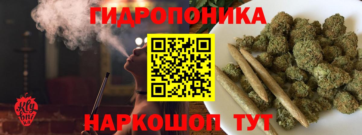 Канабис ГИДРОПОН Касимов